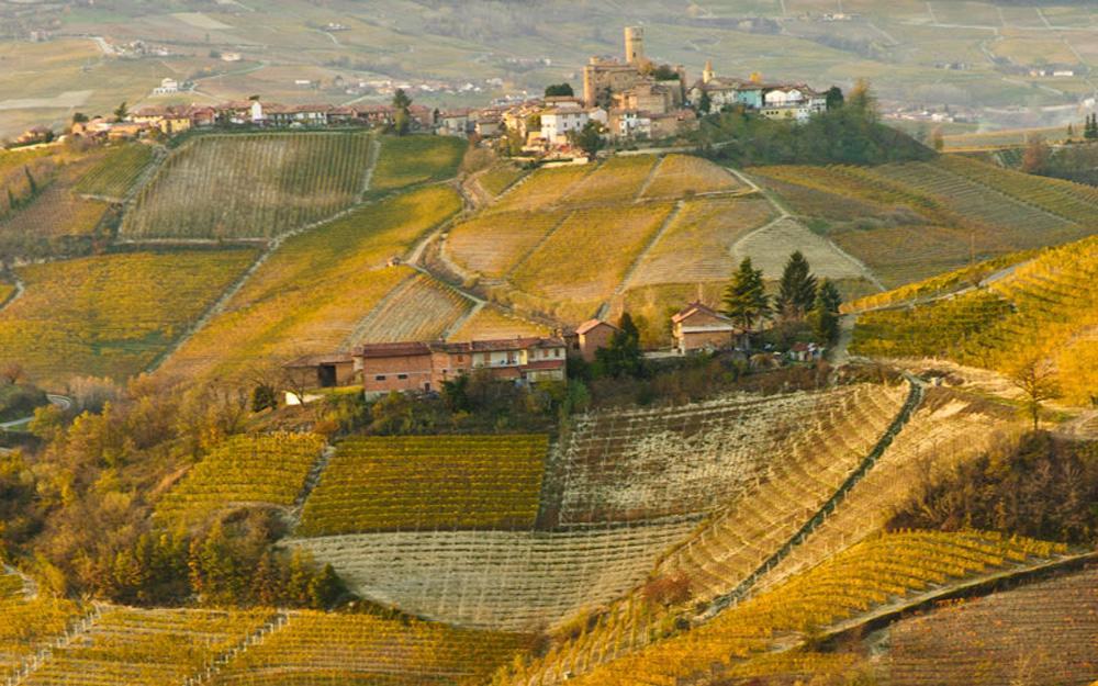 Hotel Langhe & Monferrato Costigliole d'Asti Exterior photo